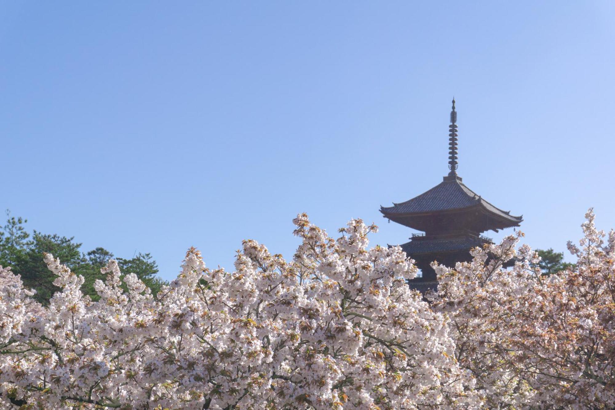 Tokyu Stay Kyoto Sakaiza Shijo Kawaramachi Экстерьер фото