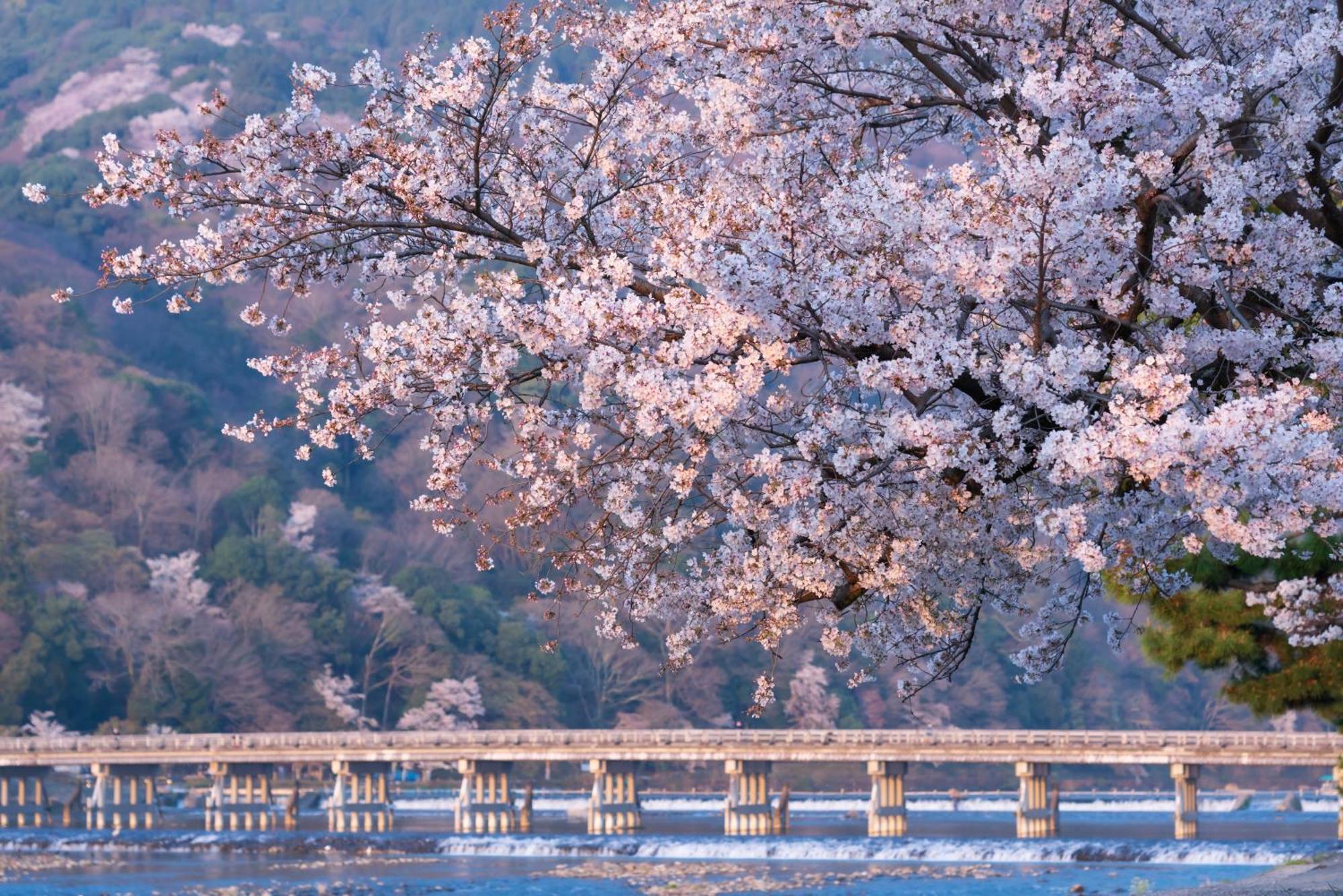 Tokyu Stay Kyoto Sakaiza Shijo Kawaramachi Экстерьер фото