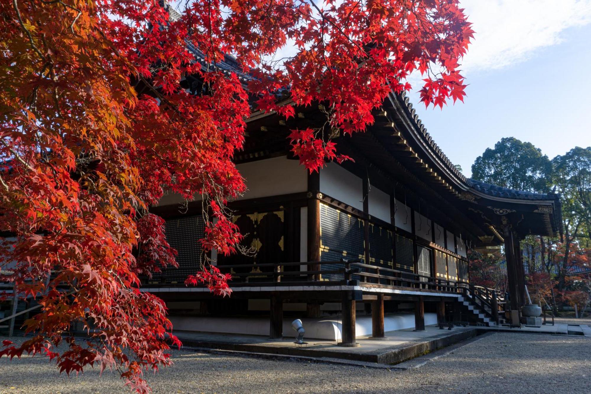 Tokyu Stay Kyoto Sakaiza Shijo Kawaramachi Экстерьер фото