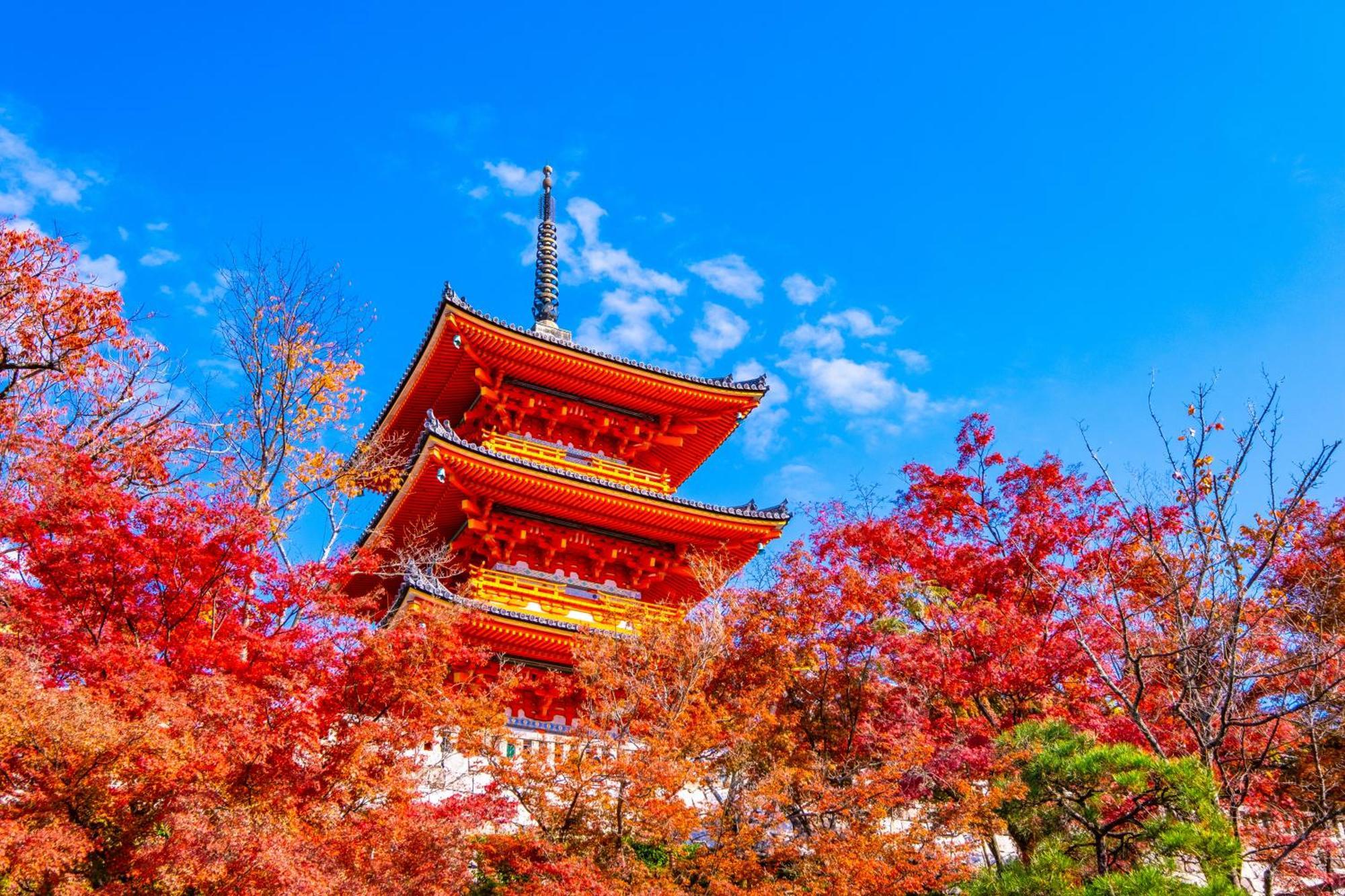 Tokyu Stay Kyoto Sakaiza Shijo Kawaramachi Экстерьер фото